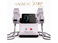 MAGNETIC SCULP 4H